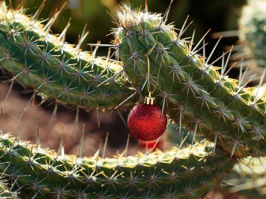 Christmas may come late this year