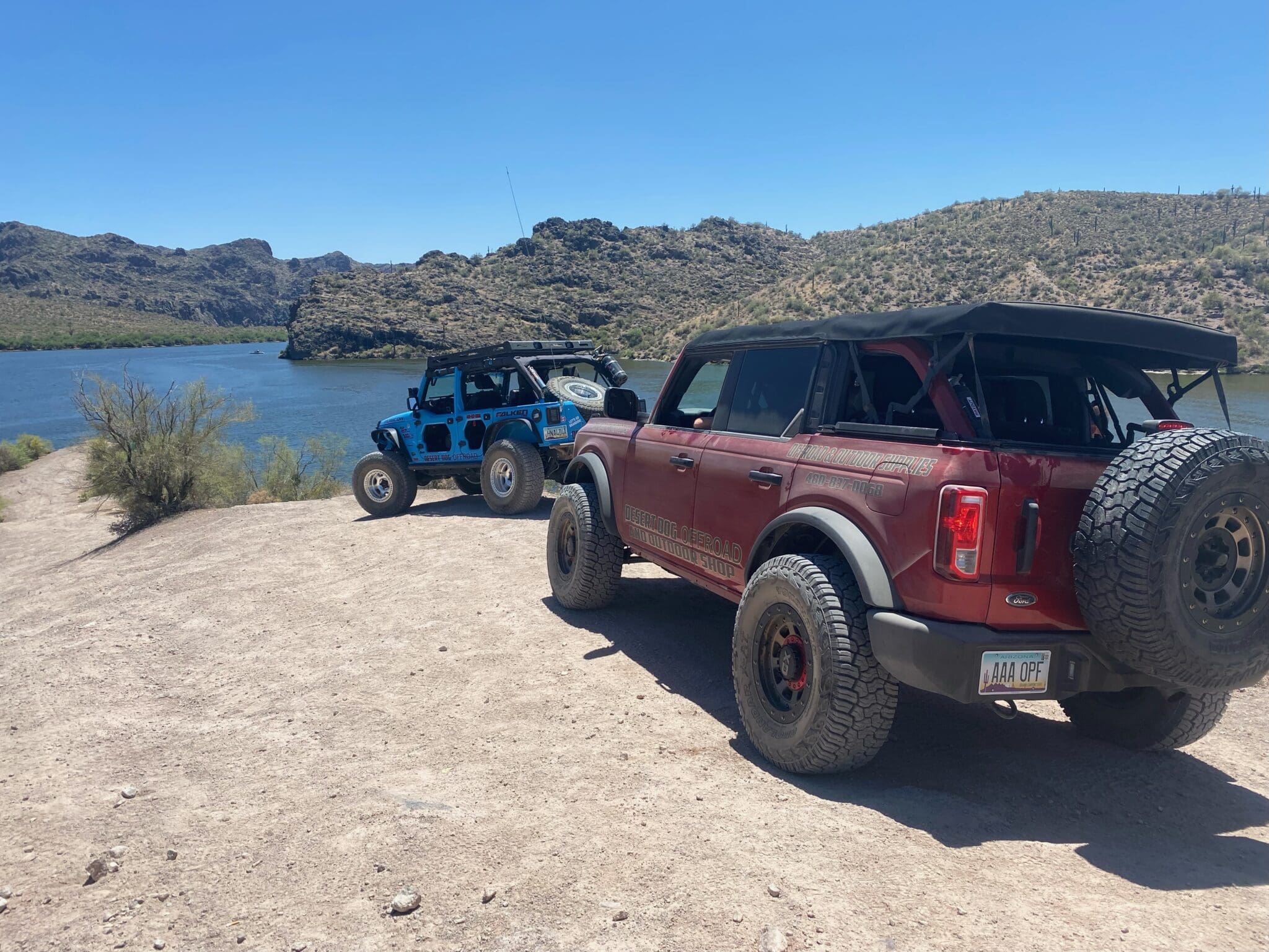 The Real Cactus League is Out in the Desert!