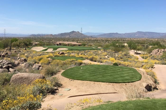Discover endless desert drama: Multiple holes unfold amid wildflowers and ancient rocks, capturing why Scottsdale leads in public golf course density.