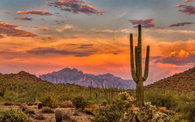 Ultimate Guide to Phoenix Off-Road Tours: Exploring the Arizona Desert and Sonoran Desert