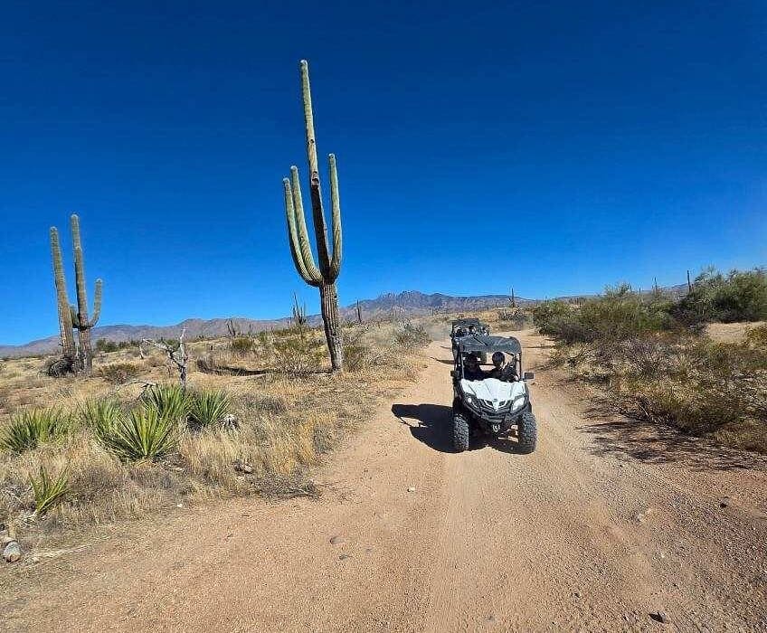 Desert Dog Offroad Adventures (2025) - All You Need to Know BEFORE ...